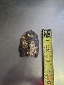 Chumash Arrowhead Native American Found In Lompoc CALIFORNIA SOLVANG COAST - Picture 1 of 5