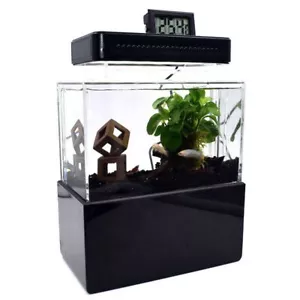 1L Mini Aquarium Komplett set Dekoration mit LED Beleuchtung Pumpe & Filter - Bild 1 von 24