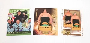 Lotto di 3 2024 BBM KOTONOWAKA Grand Sumo Wrestling Trading Card OZEKI BELLE - Foto 1 di 9