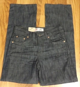 Levi's 550 Irregular Humbolt Boys Blue Relaxed Fit Jeans Size 14 29x30  P785 - Picture 1 of 3