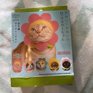 Mütze für Katzen - Bild 1 von 4