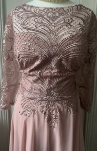 Stunning Veni Infantino NWT Dress Pink/Blush Size 22 - Picture 1 of 7