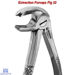 Extracción Quirúrgica Diente Molares Inferiores Extracción Figura 22 Instrumentos Odontológicos - Imagen 1 de 5