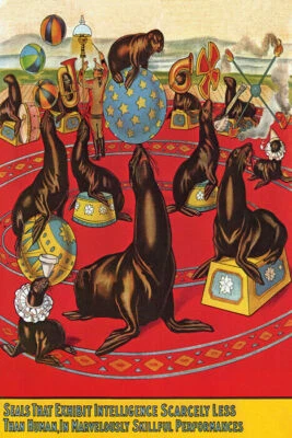 POSTER CIRCUS SEALS INTELLIGENCE SKILLFUL PERFORMANCES VINTAGE POSTER REPRO - Image 1 of 3