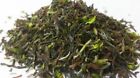 Darjeeling Green Tea (FRESH FIRST FLUSH) ORGANIC GREEN TEA 500 gms 