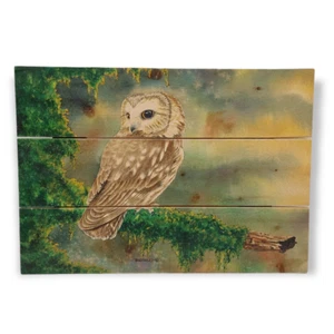 Owl Wall Decor Hanging Picture Wile E Wood Art 15x10.5" Bird Nature Print - Picture 1 of 11