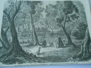 Gravure 1858 - Nouveaux Jardin des Plantes à Saint Pierre de la Martinique - Picture 1 of 1