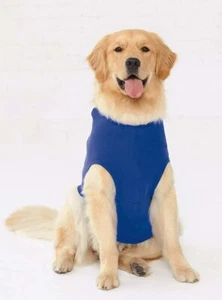 Pet Accessories - Picture 1 of 2