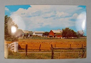 An Amish Farm In Amish Country Golden Fields After Grain Harvest Postcard (O) - Picture 1 of 2