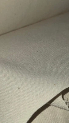 Canvas Segeltuch 100% Baumwolle 6,28 Euro/m natur 165 cm breit unbehandelt - Bild 1 von 4