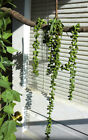 2 Pcs (27” each) Artificial Plants Plastic Pearl Bead Hangings On The Wall (V6)