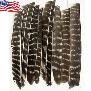 50X Flecha de tiro con arco Pluma Flecha Longitud Completa Natural Flechado RW LW Eje Hágalo usted mismo - Imagen 1 de 12