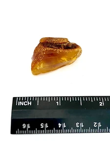 Natural Golden Baltic Amber Specimen - 5.44g - Picture 1 of 2
