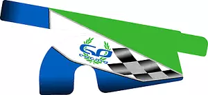 KIT DE PEGATINAS PROTECTOR DE CADENA TILLETT ESTILO KART CARRERAS GP - KARTING - JakeDesigns - Imagen 1 de 1