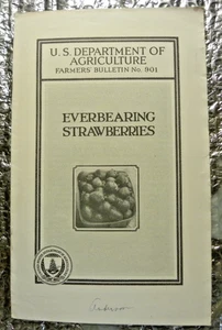 1935 US Department Agriculture Farmers' Bulletin No 901 Everbearing Strawberries - Bild 1 von 3
