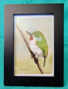 5x7 Small Original Hand Painted Bird Brilliant Colors Signed By The Artist - Picture 1 of 5