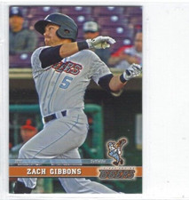 2017 Inland Empire 66ers (Class A-Los Angeles Angels) Zach Gibbons