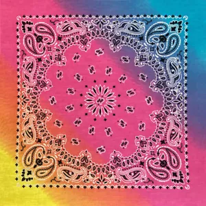 Carolina Creative Bandanna (Pastell Regenbogen) Paisley-Druck 22" x 22" Hav-A-Hank - Bild 1 von 1