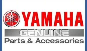 Piezas Originales Yamaha BOMBA DE COMBUSTIBLE COMP B3J-13907-02-00 De Japón - Imagen 1 de 1