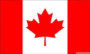 PACK OF 4 CANADA BUDGET FLAG small 9"x6" GREAT FOR CRAFTS Canadian - Picture 1 of 1