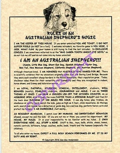 Rules In An Australian Shepherd's House - Picture 1 of 1