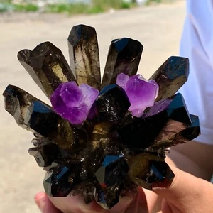 1.12LB New Find black Phantom Quartz with amethyst Crystal Cluster Mineral - Picture 1 of 24