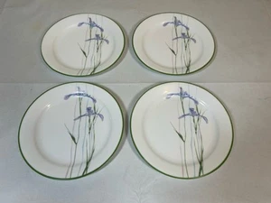 Corelle Shadow Iris Salad Dessert Plates 7 1/4” Round Green Rim Edge - Set of 4 - Picture 1 of 10