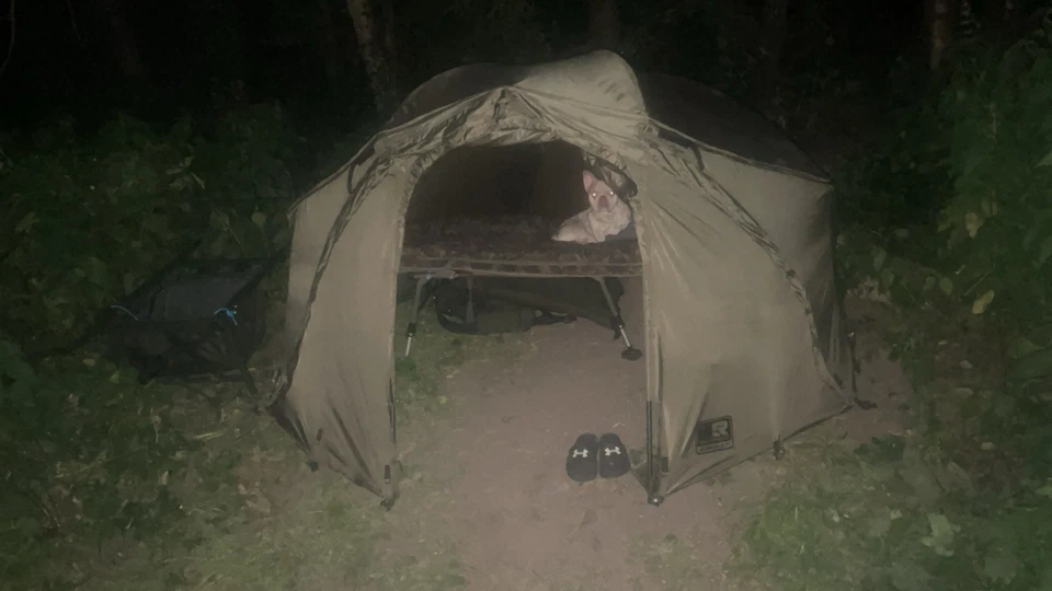 Fishing Joblot ( New /used ) Fox / Nash And More - Image 1 of 4