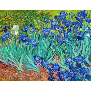 Van Gogh, Irises, Les Iris, 1889, Canvas Print, 18" x 24" + Border - Picture 1 of 10