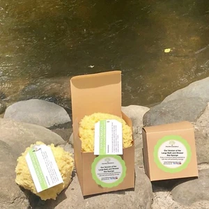 Fra Fra’s Naturals Large Version Of The Bath And Shower Sea Sponge - Picture 1 of 4