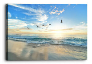 Seascape Sunset Blue Yellow Birds Beach Canvas Wall Art Picture Home Decoration