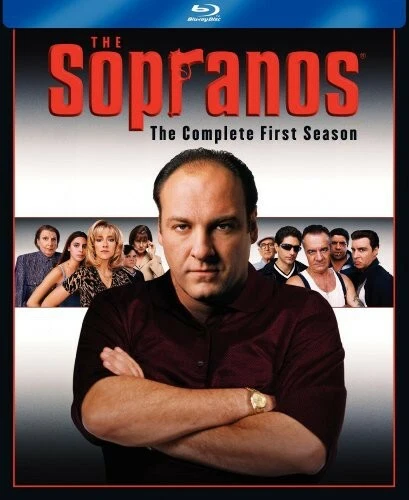 Игра The Sopranos: the Complete First Season 1 (Blu-ray, 1999 года) - Изображение 1 из 1