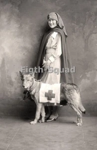 Prima guerra mondiale foto prima guerra mondiale infermiera Croce Rossa con cane da salvataggio 7980 - Foto 1 di 2