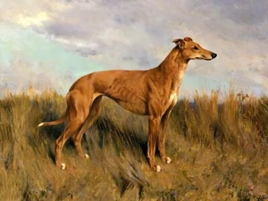 GREYHOUND PRINT FROM ORIGINAL OIL PAINTING UNFRAMED - Picture 1 of 5