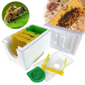 Simple Beekeeping Bee Queen Breeding Mating Nuc Harvest Pollination Hive Box O6 - Picture 1 of 12