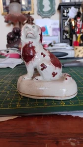 Antique 19th Century Staffordshire dog Miniature Spaniel? Grumpy Face - Picture 1 of 8