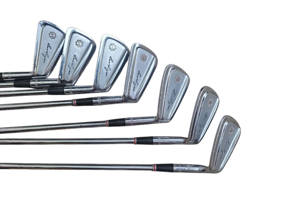 Juego de hierro Ben Hogan Apex 3-9 faltante #6 hierro icludes ecualizador eje de acero diestro  Foto 1 de 4