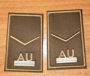 Allievo Accademia Militare - Istruttore - Esercito Italiano - gradi tubolari - Foto 1 di 1