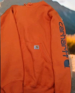 Sudadera con Capucha Carhartt Mediana Para Hombre Naranja Blaze Calce Suelto Caza Exterior Estampado Gráfico - Imagen 1 de 7