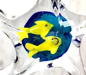 Hand Blown Glass Starfish Paperweight Yellow Fish With Blue Circle in the Center - Picture 1 of 7