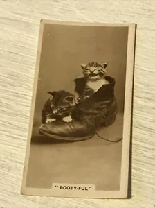 De Reszke Cigarette Card Series 3 no.17 Bootyful kittens in a boot photo vintage - Picture 1 of 4