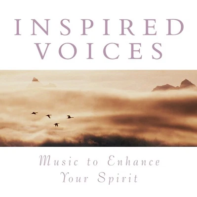 Various Inspired Voices: Music To Enhance Your Spirit (CD) (US IMPORT) - Image 1 of 2