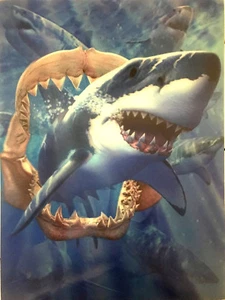 3D Lenticular Poster Moving Picture Shark bite Ocean Animal 14.5 x 11.5 inches - Picture 1 of 1