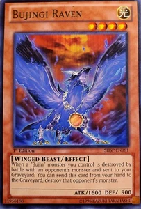 Bujingi Raven SHSP-EN081 - Picture 1 of 1