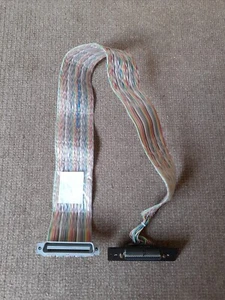 Vintage D50 Female on plate to C50 Centronics Male rainbow ribbon cable untested - Afbeelding 1 van 6