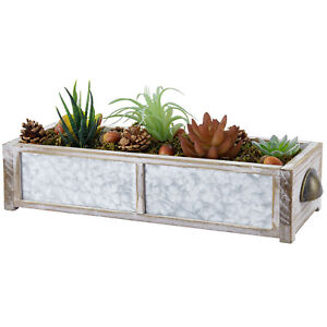 Whitewashed Wood & Galvanized Metal Window Box Planter w/ Succulent, Pine Cones