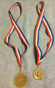 2 Warren County D.A.R.E. Ribbons and Medals 1999 Warren County Sheriff Dept PA - Picture 1 of 7