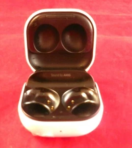 Samsung - Galaxy Buds2 Auriculares Inalámbricos Verdaderos-ESTUCHE CARGADOR DE GRAFITO UNO - Imagen 1 de 3