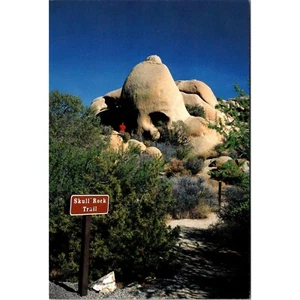 Vintage 1985 Skull Rock Trail Joshua Tree National Park Postcard - Picture 1 of 2