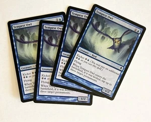 Tempest Owl (4) Zendikar NM MTG Magic the Gathering - Picture 1 of 1
